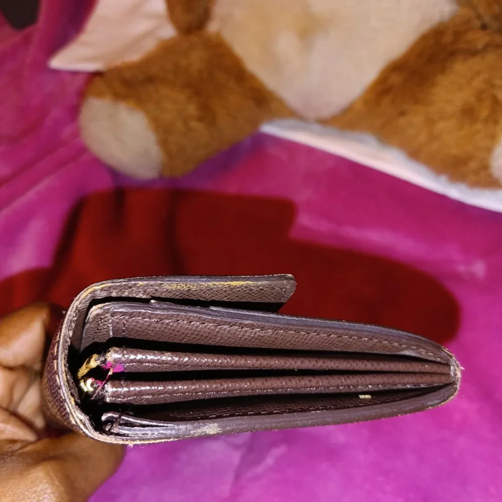 Louis Vuitton Damier Wallet with Custom Interior